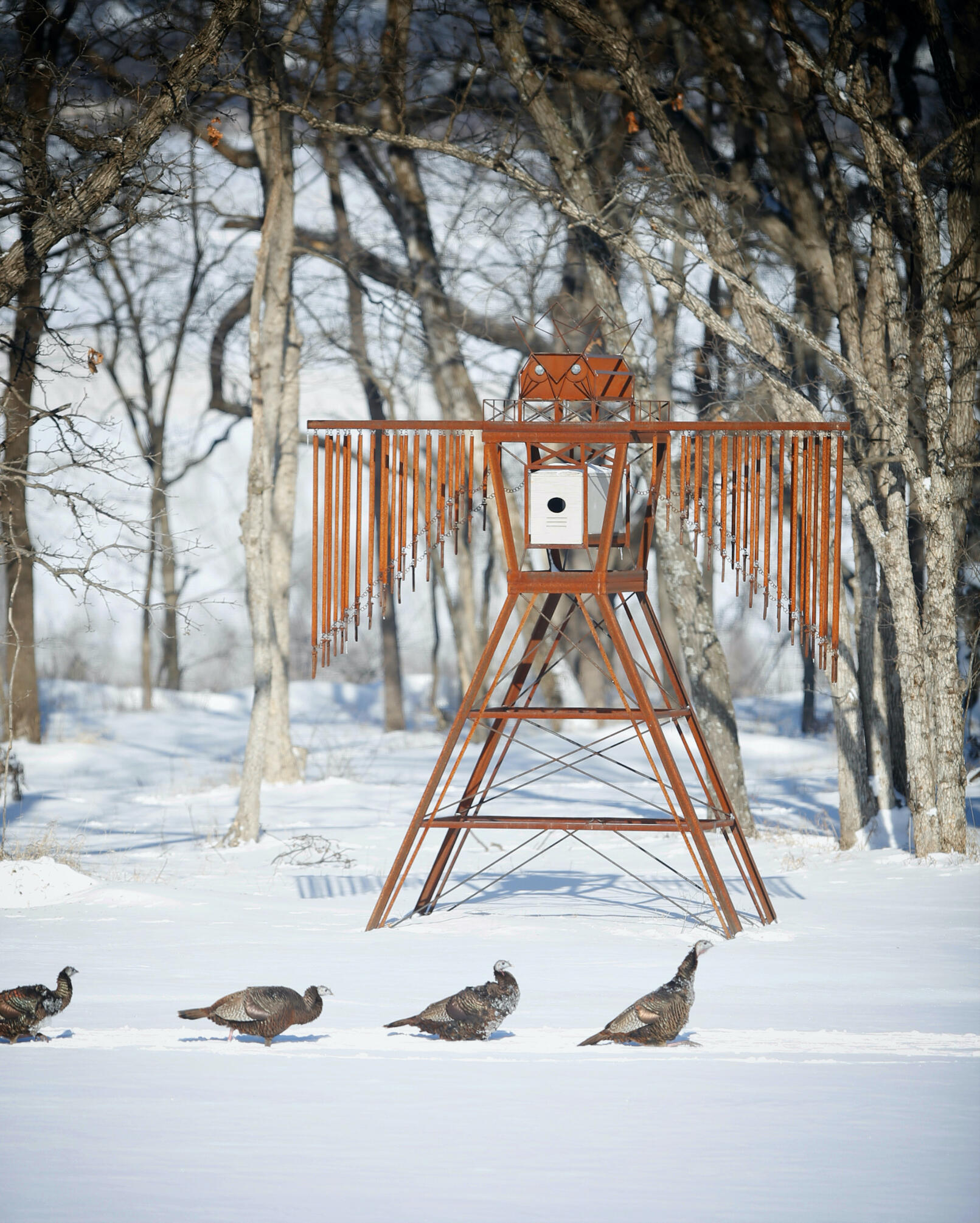 &quot;owl guard&quot; available for purchase