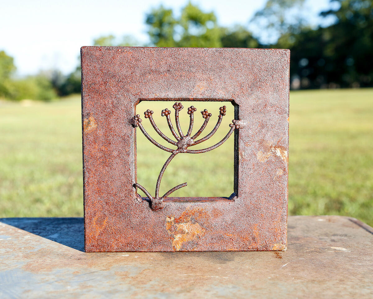 "queen anne's lace" available for purchase